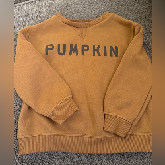 Little Co. By Lauren Conrad Other - Little Co. Lauren Conrad “Pumpkin” Sweatshirt 3T